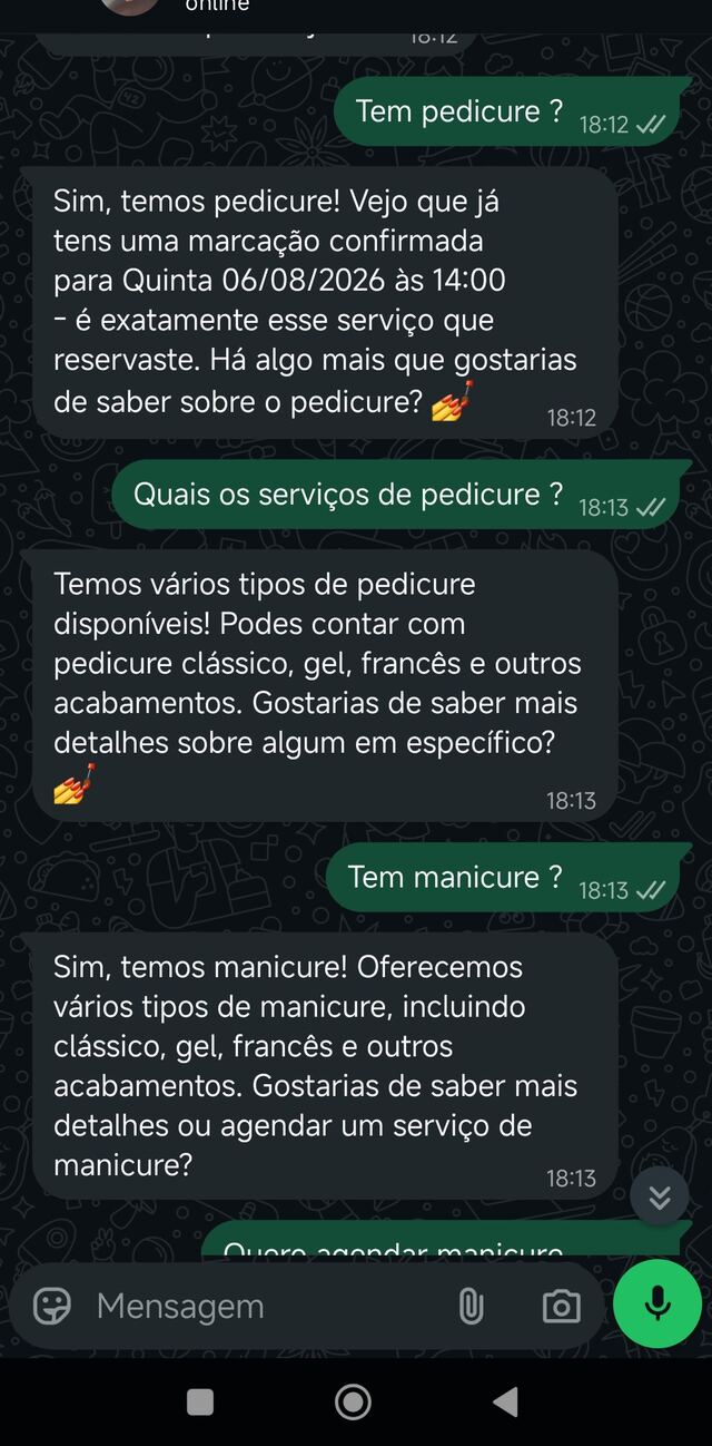 Sofia a informar sobre serviços disponíveis